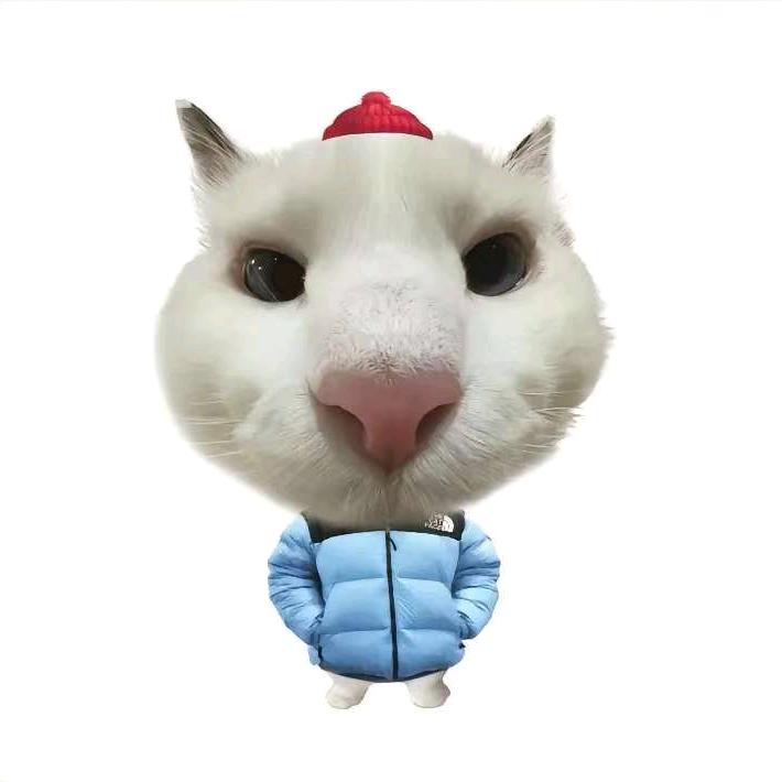 农村忧郁星星大王