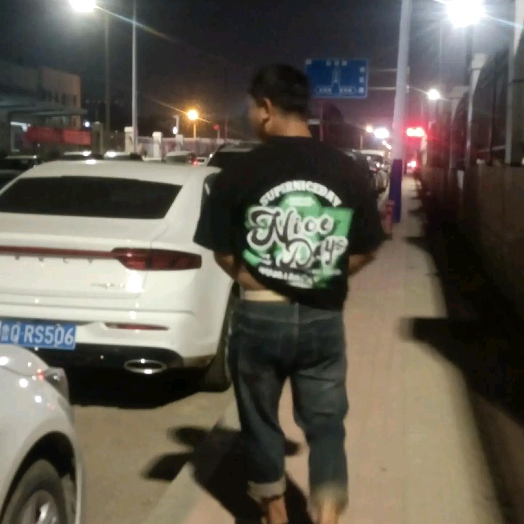 违章动物