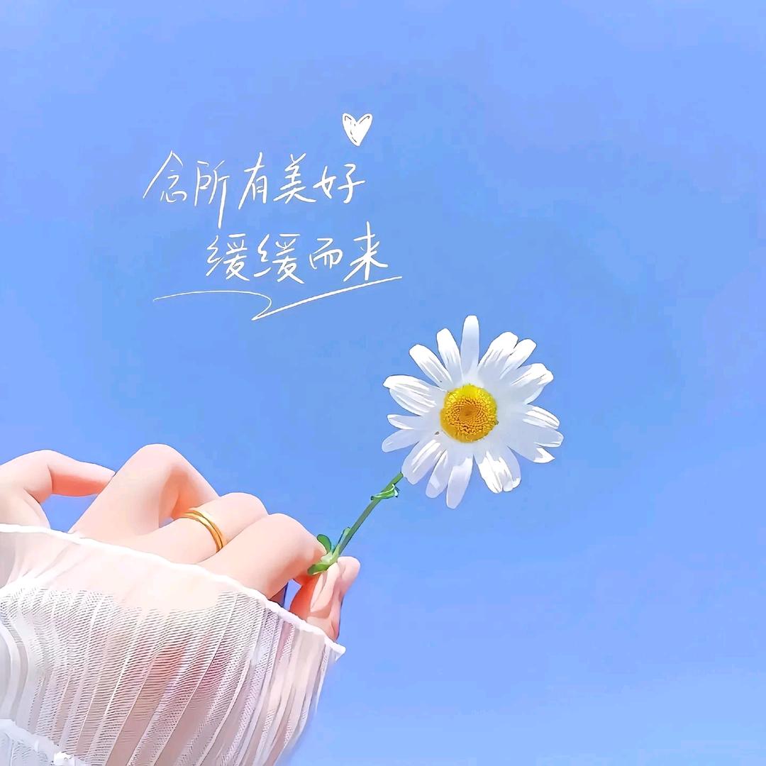 🧡未ྀ来可ྀི期✨