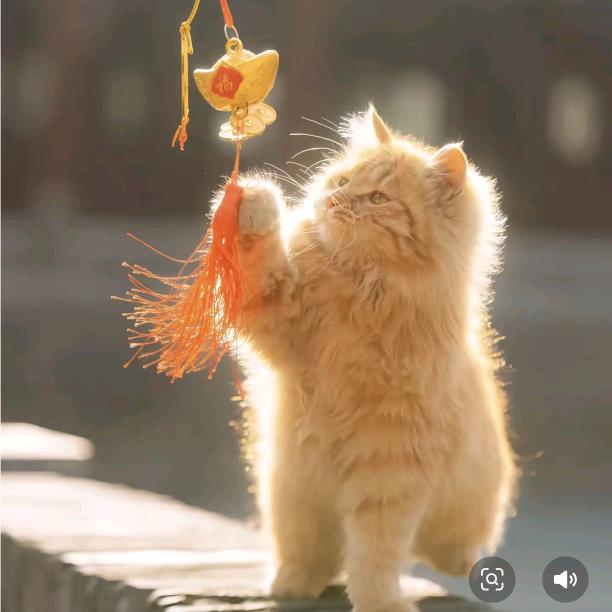 被爱情升华的友情