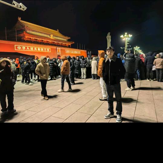 没人收留的流浪猫（生活号）