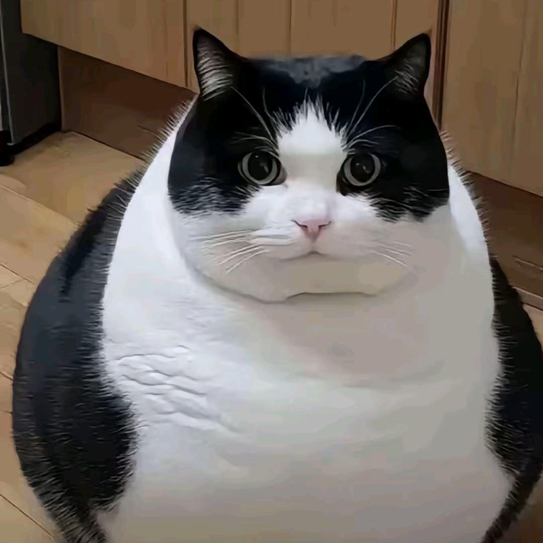 人生路漫漫