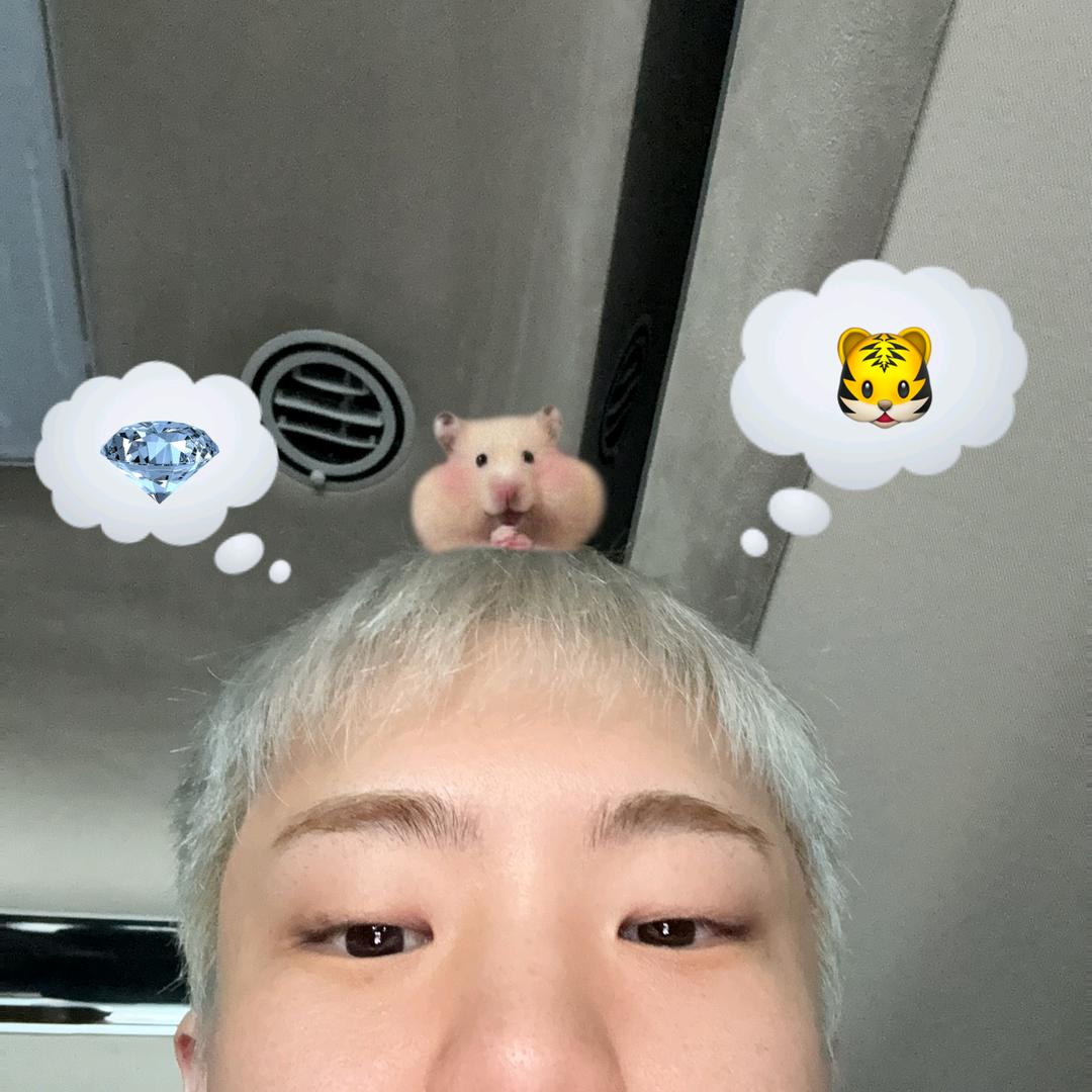 哦好好好