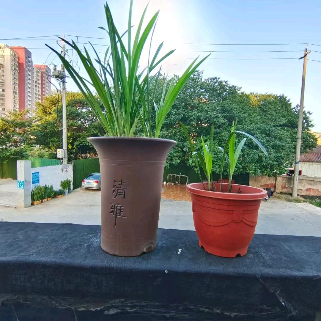 远方的你🌿