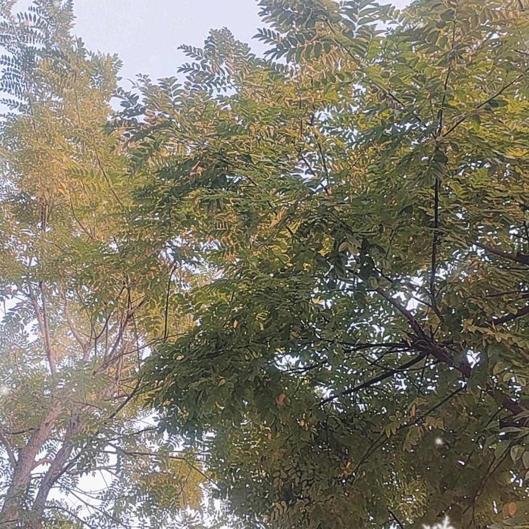 深耕整装的独立设计—郑工