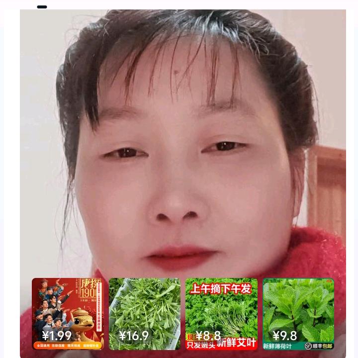 茹莱天恩零食馋嘴