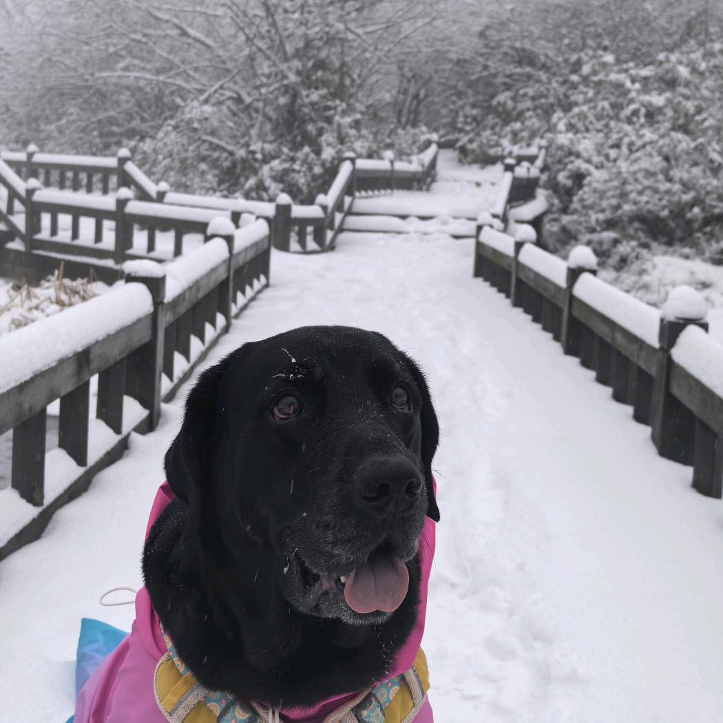 黑妹（可可）麻麻