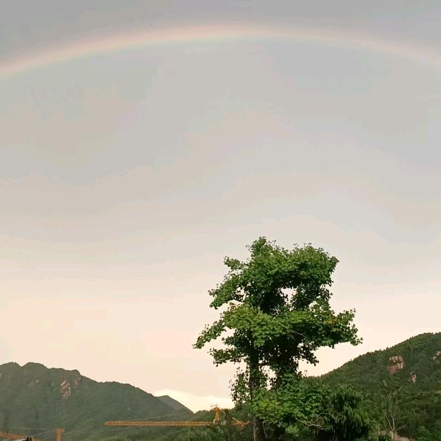 独来独往