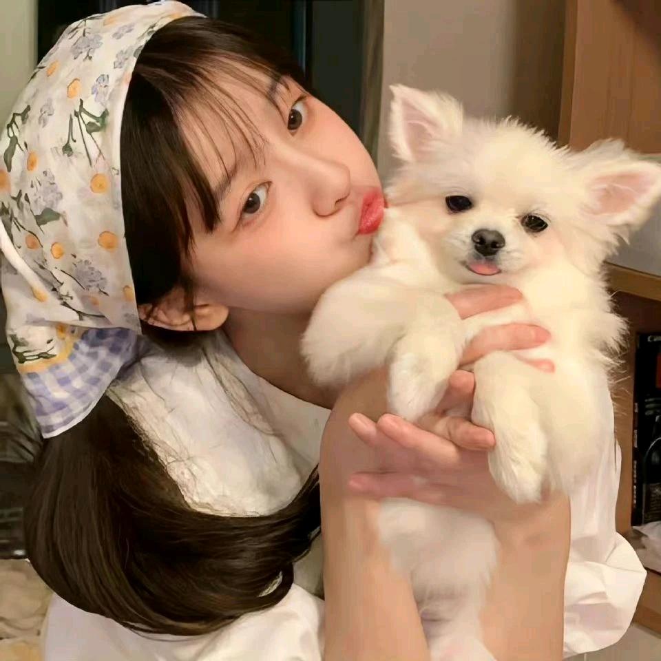 木里合江