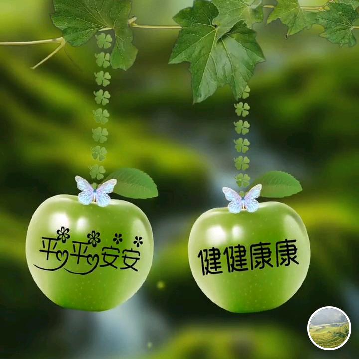 水木李姐