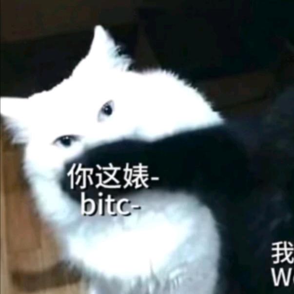 悲伤虾仁派不会遇到心软的流量