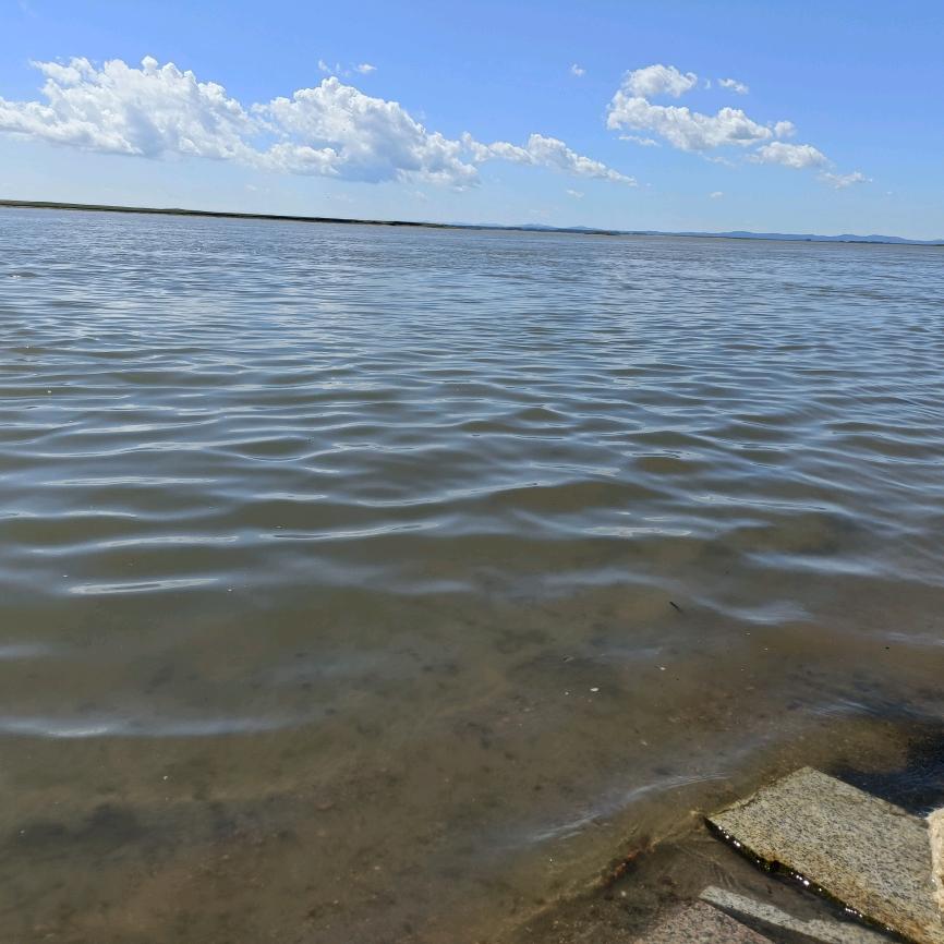 敬天泰兔~杜鹃纯露+直隶酒坊