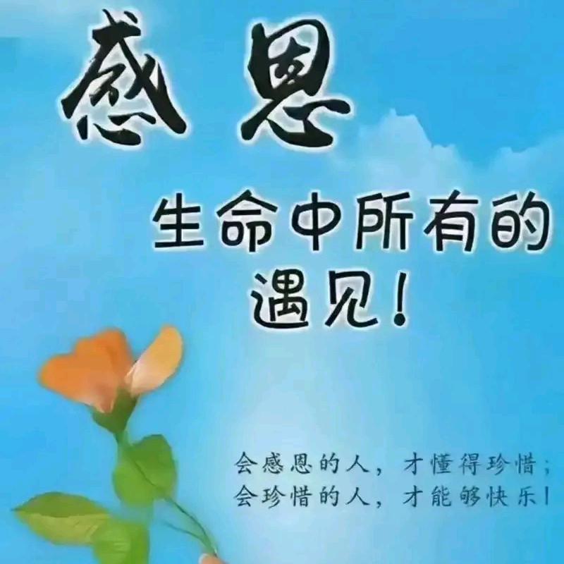 感恩的心