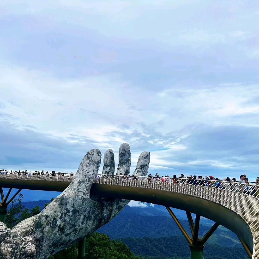 💰天天卖大饼🫓