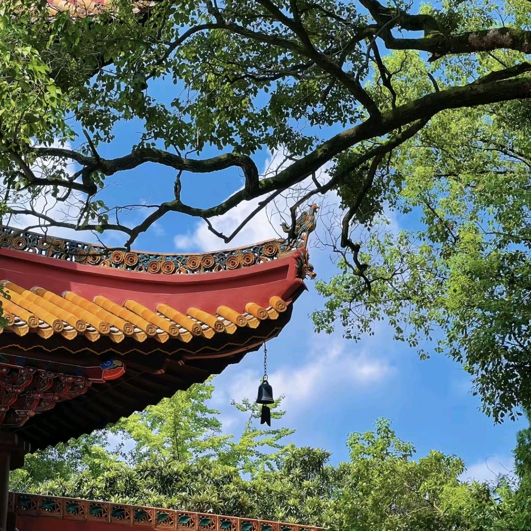 未来可期、