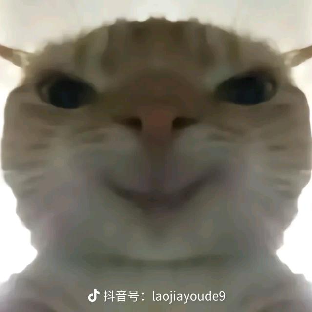 六百六十六盐都不带盐了