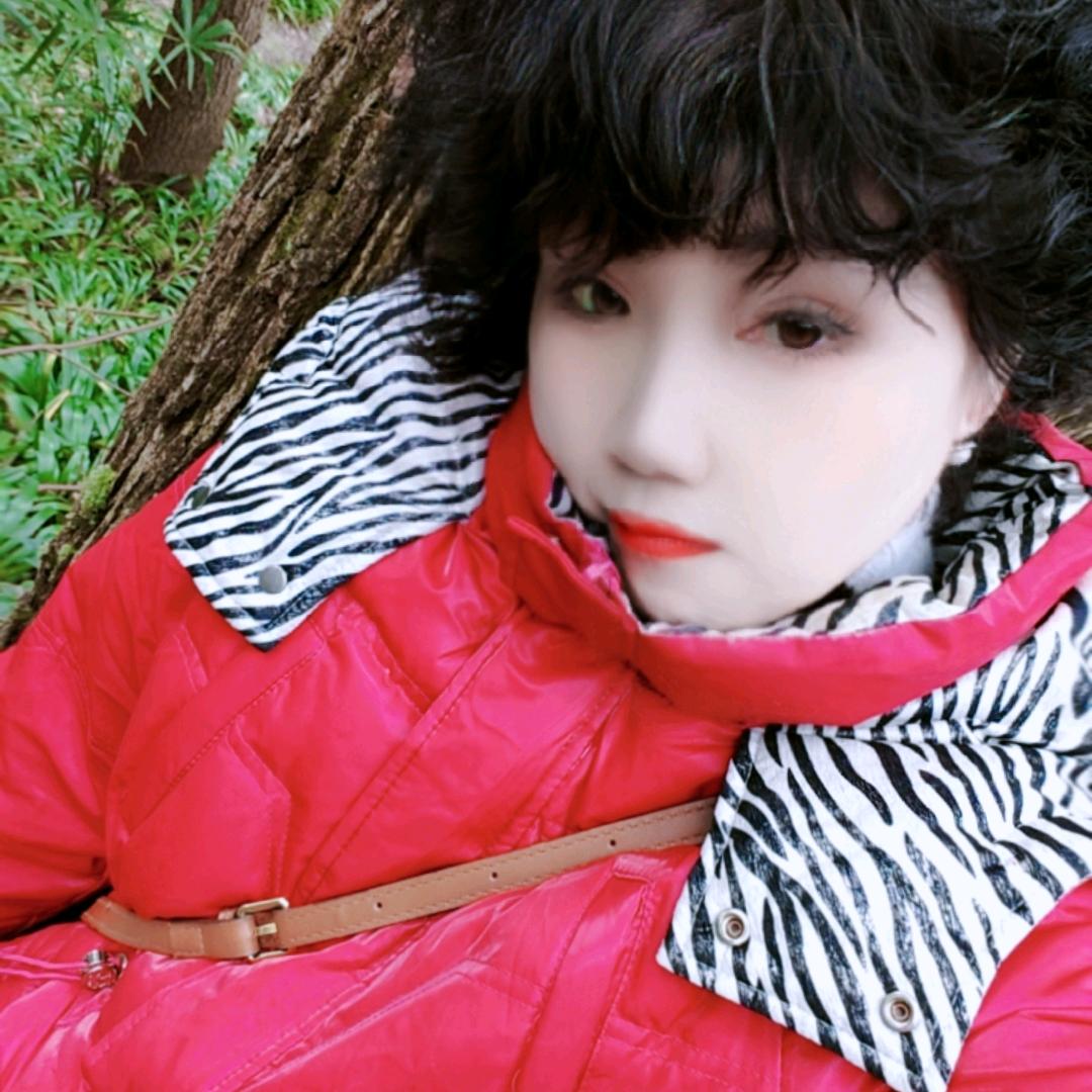 开心果果(努力回关赞)