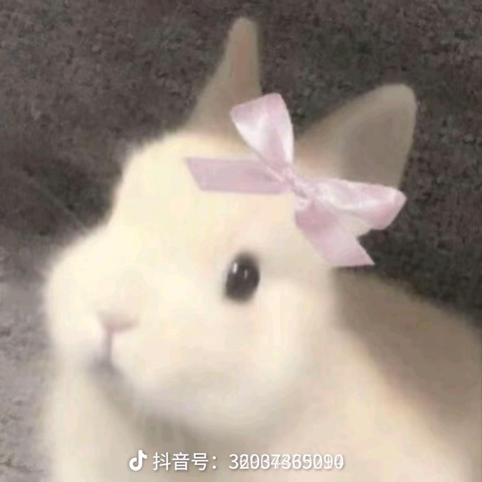 咬清梨
