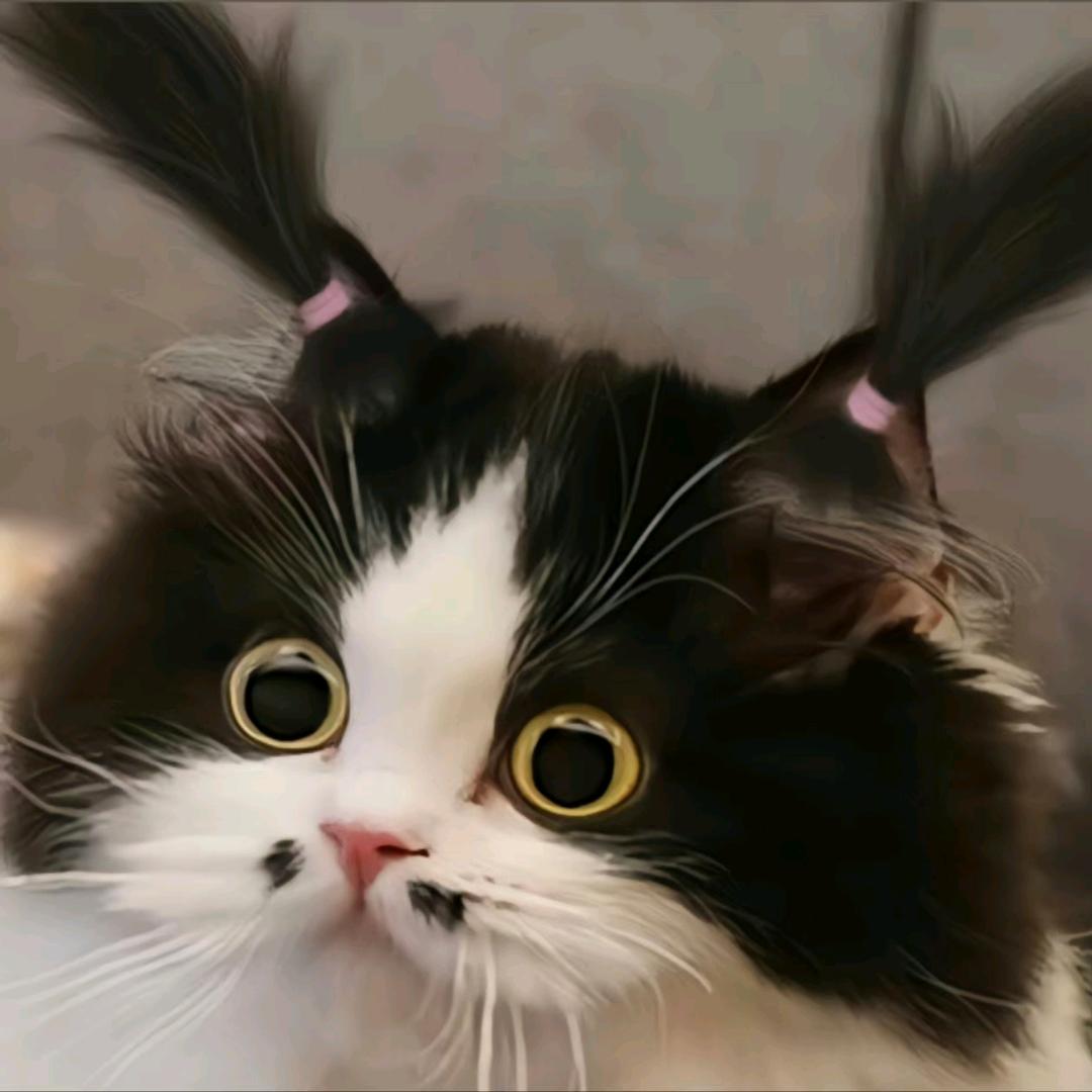 灿颜
