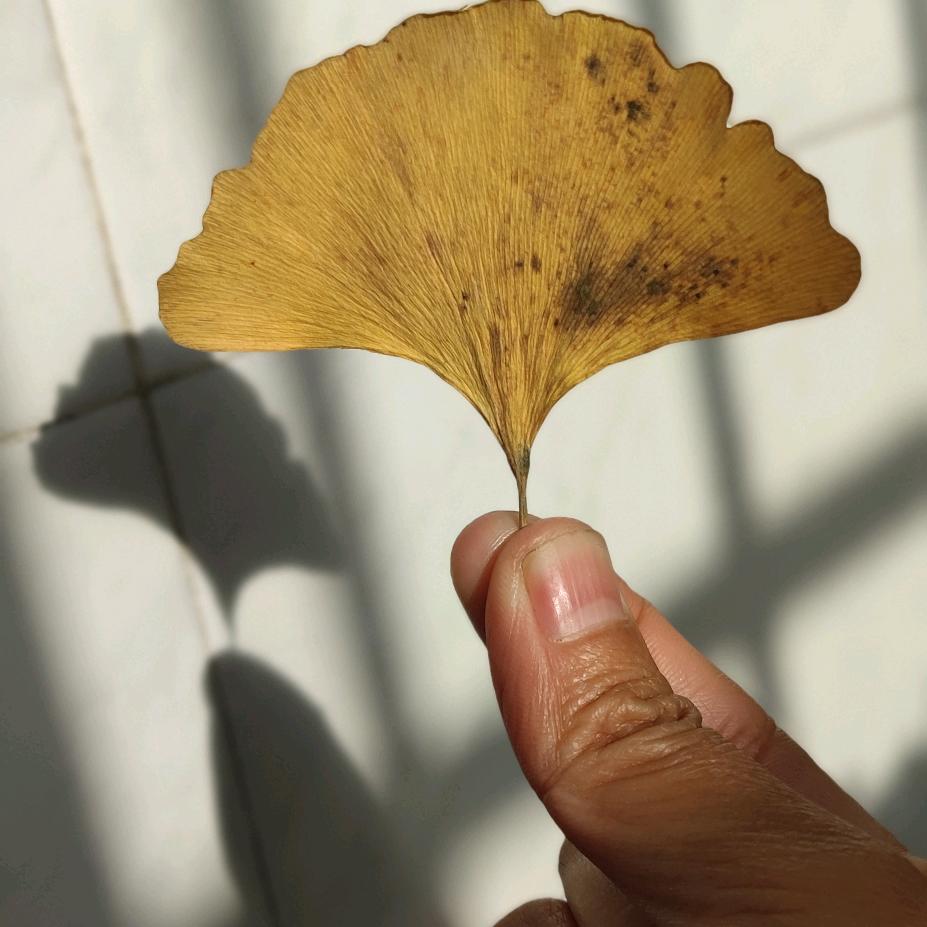 欣宝爱绘画