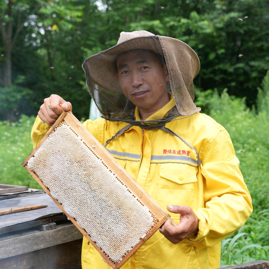 东北黑蜂成熟蜜