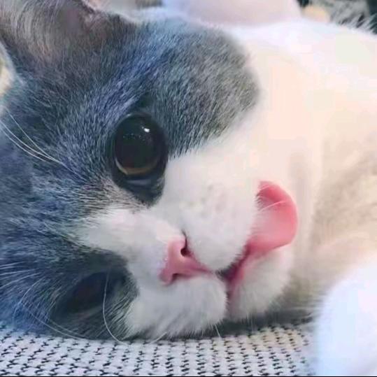 ⁰
