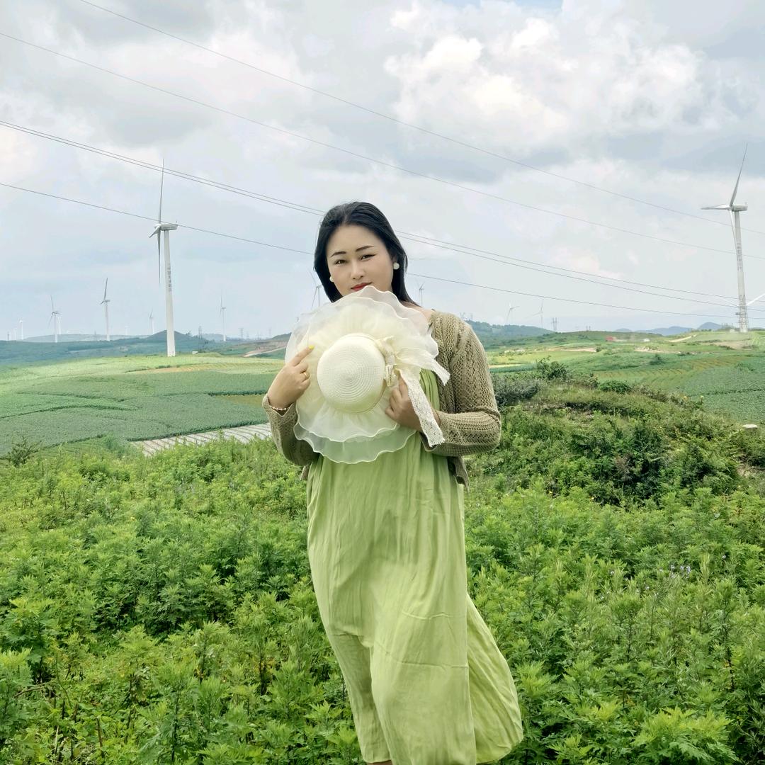 向阳电信  慧慧