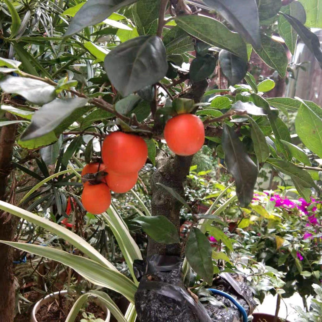 @曾经爱过不后悔@