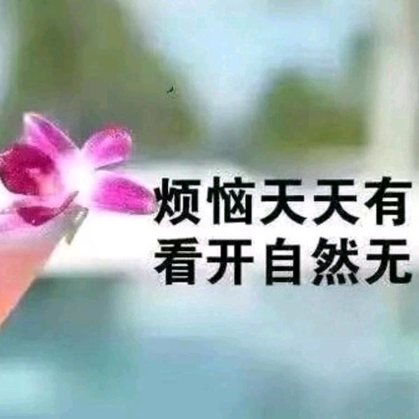 顺其自然