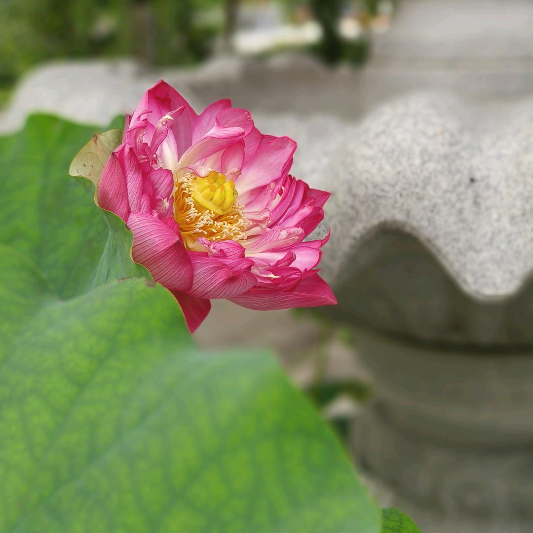 燕姐好物
