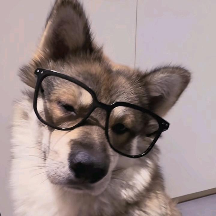 西u恩