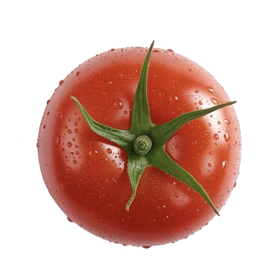 🌈可可西里🌈