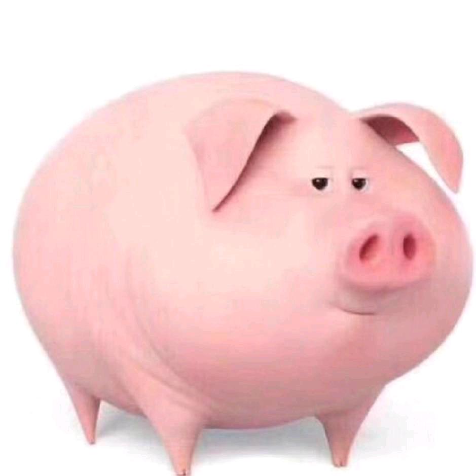 🐷
