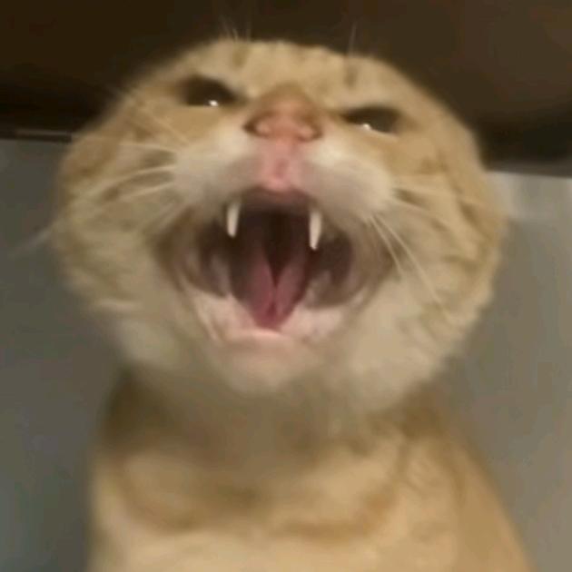 121212