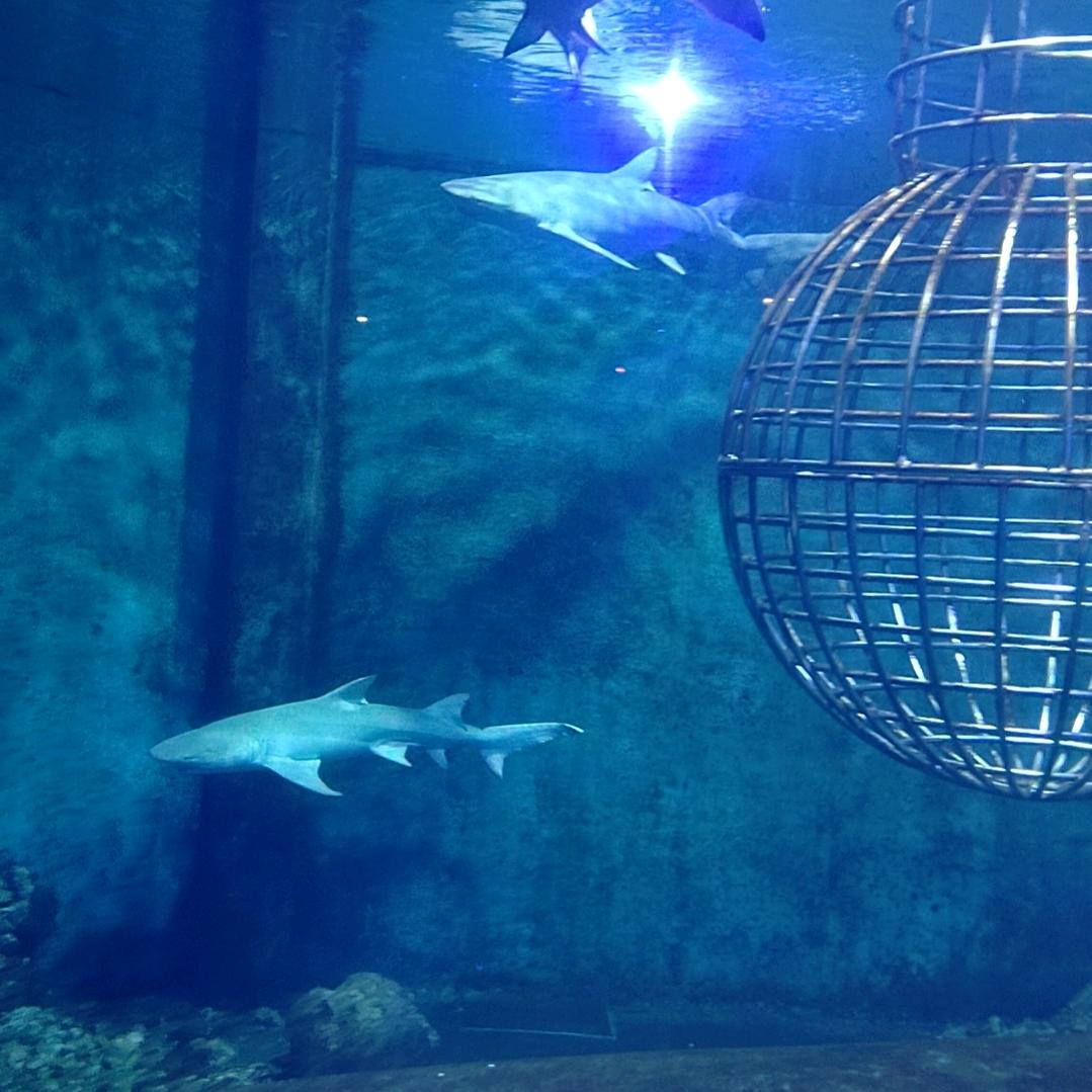 看热闹不嫌事大