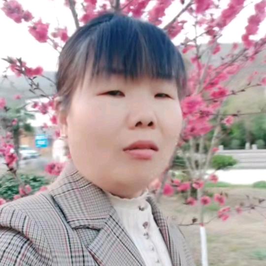 盼盼姐（不忘初心）