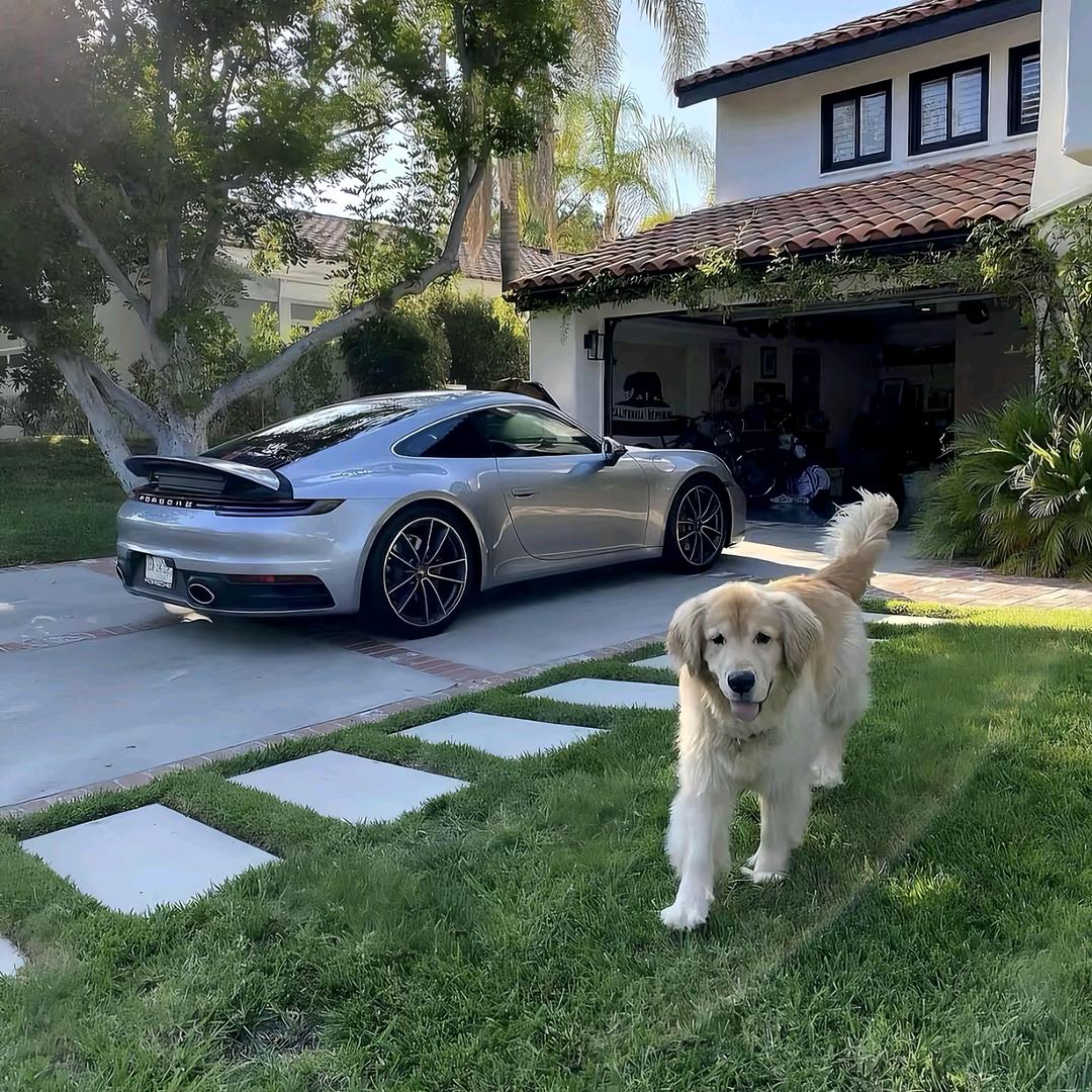 温州迪奥二手车