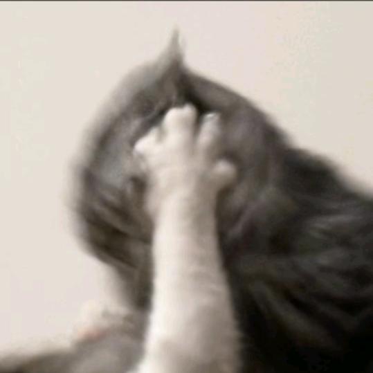 玦
