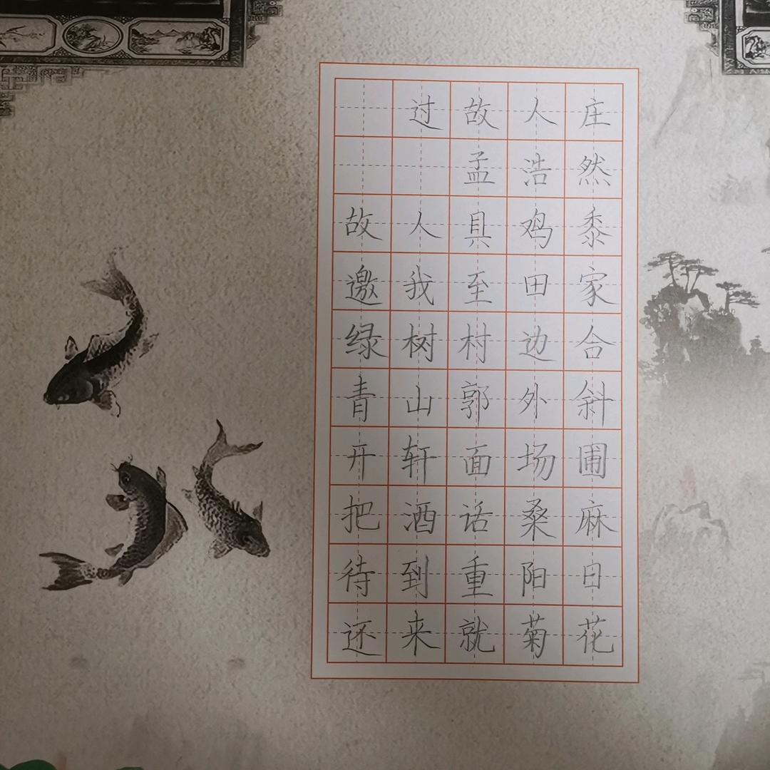 天天练字
