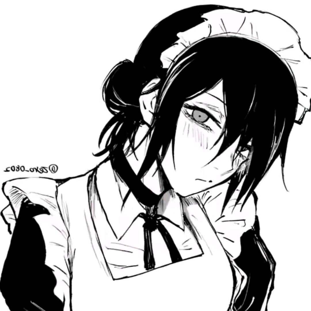 雏菊