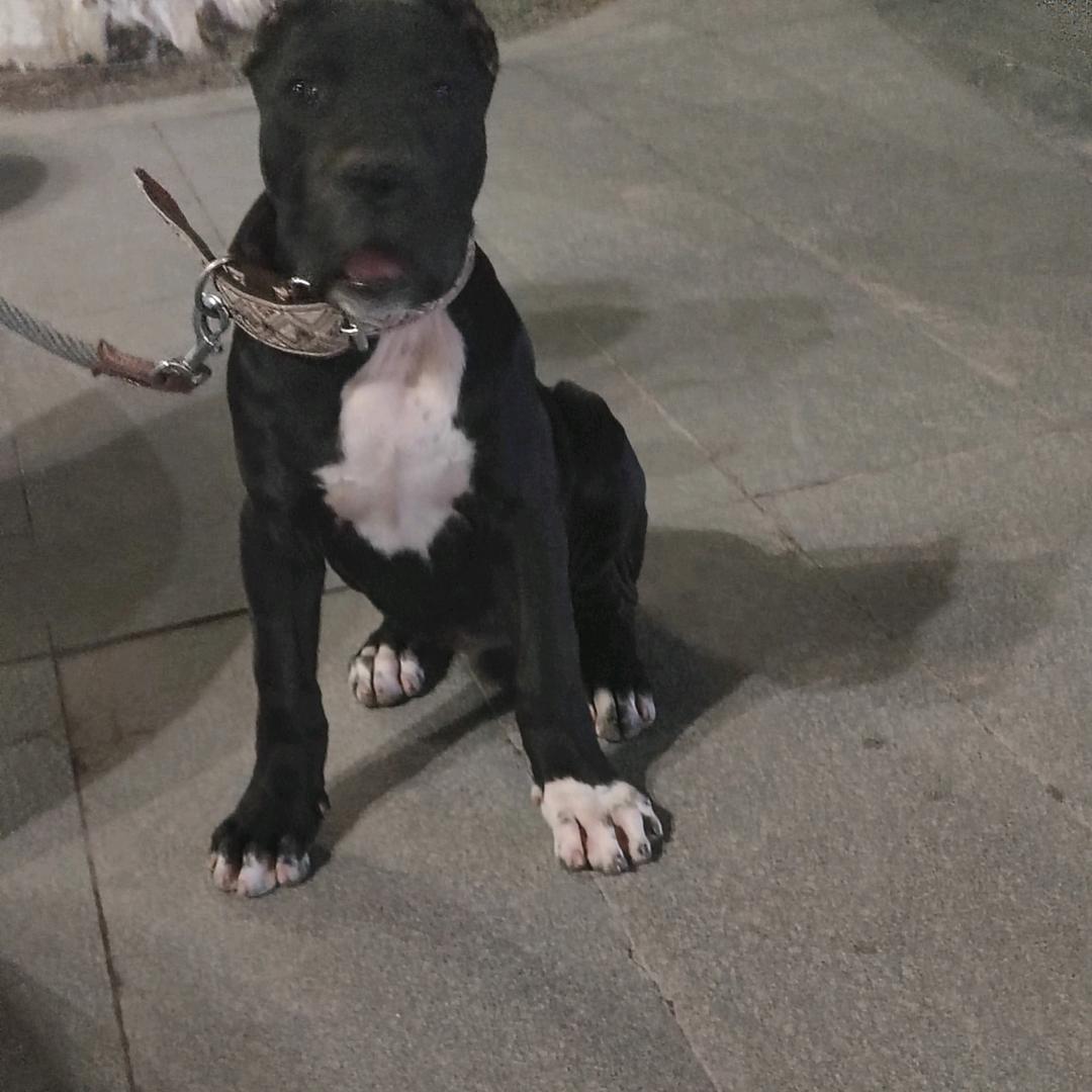 林雾。