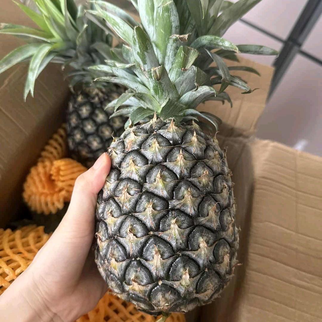 菲常欢喜