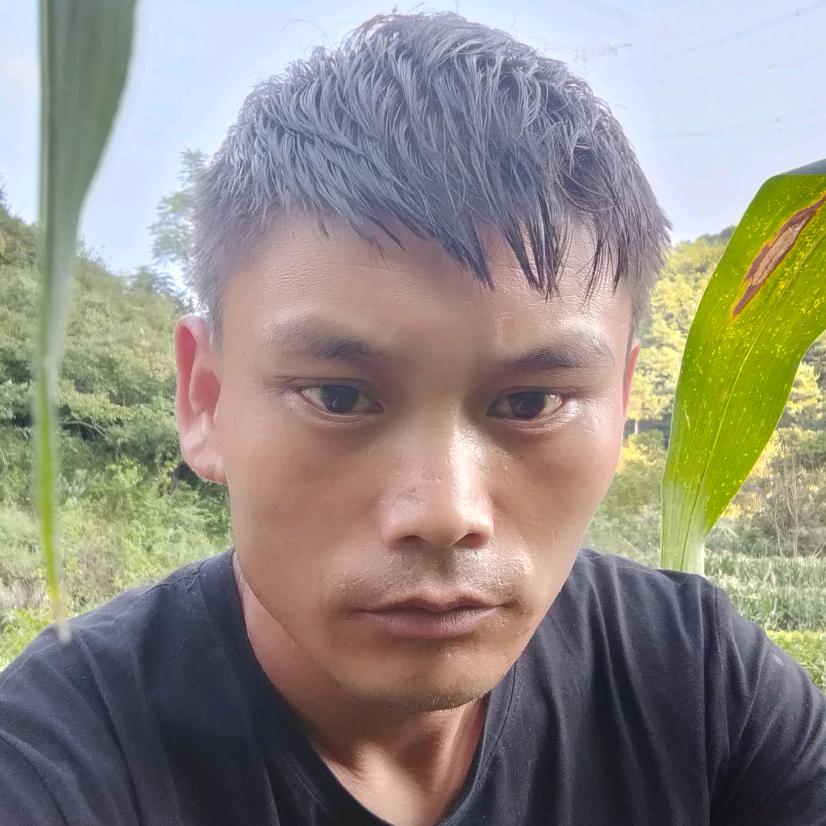 大家好我想张