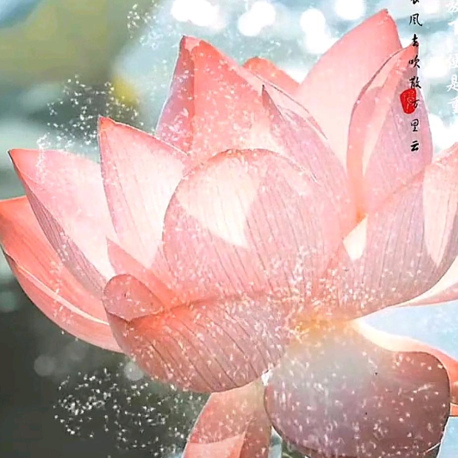 艾芊衣都