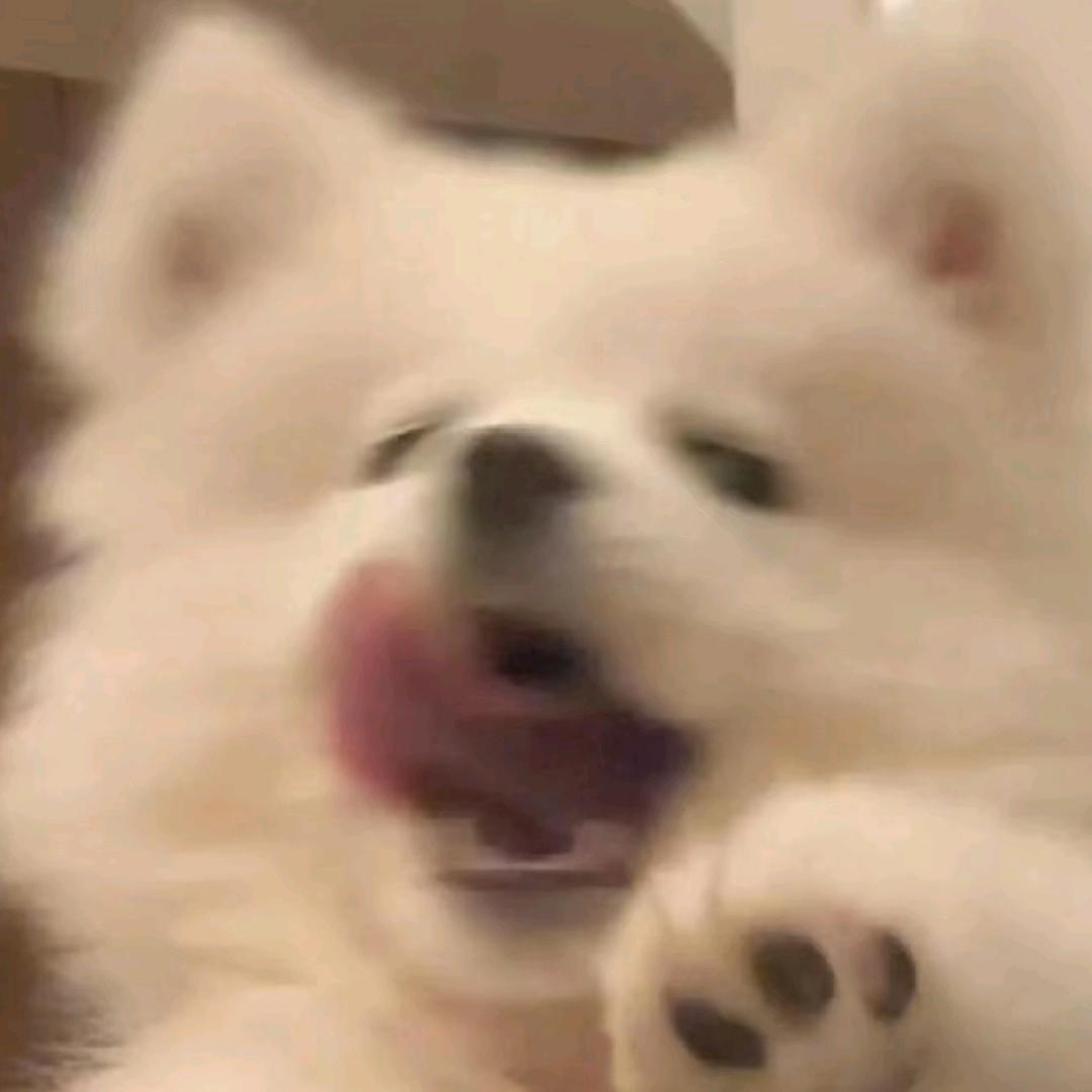 狐鸣呼曰：V我 50吧