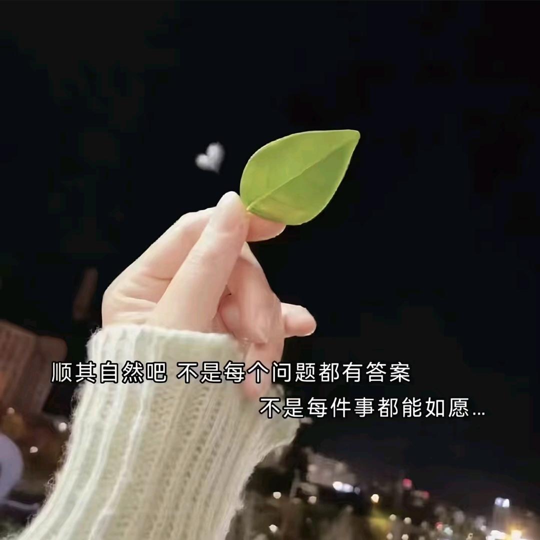 丹丹