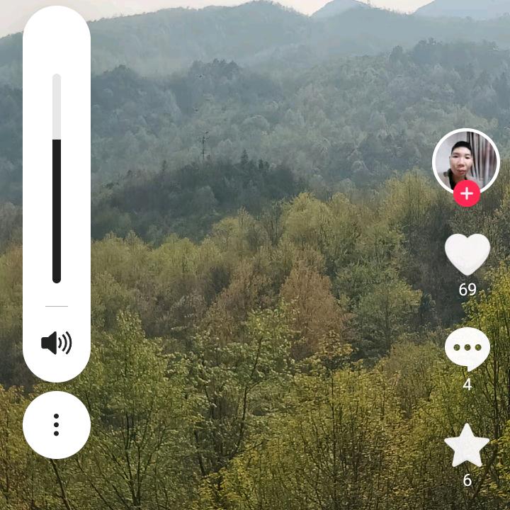 老林