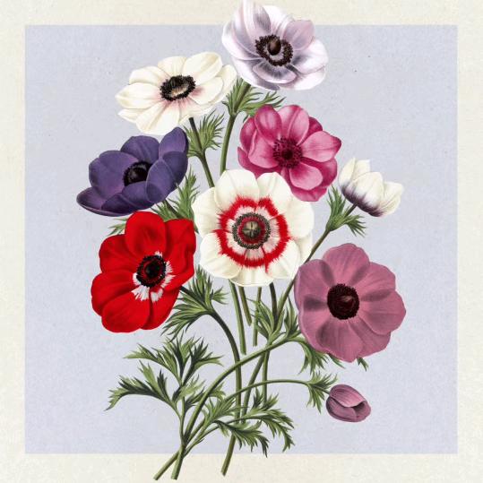 一个被遗忘的人