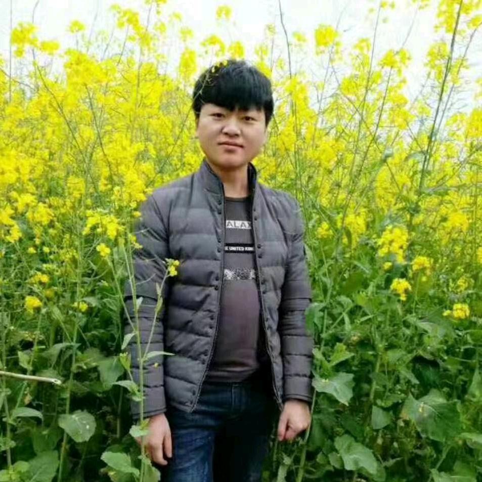 罗百万