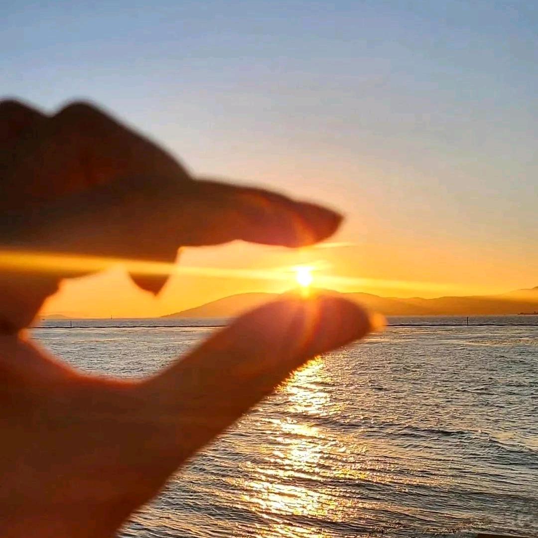 唐.大大✨